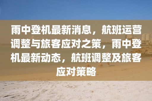 雨中登機(jī)最新消息，航班運(yùn)營(yíng)調(diào)整與旅客應(yīng)對(duì)之策，雨中登機(jī)最新動(dòng)態(tài)，航班調(diào)整及旅客應(yīng)對(duì)策略