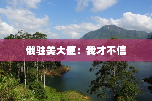 俄駐美大使：我才不信