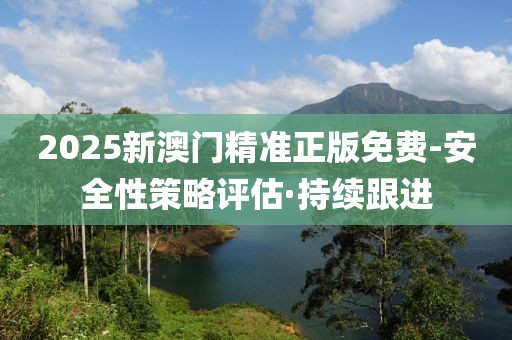 2025新澳門精準正版免費-安全性策略評估·持續(xù)跟進