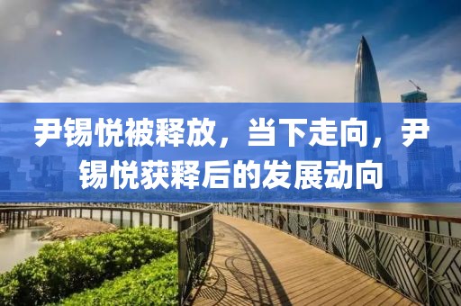 尹錫悅被釋放，當(dāng)下走向，尹錫悅獲釋后的發(fā)展動(dòng)向