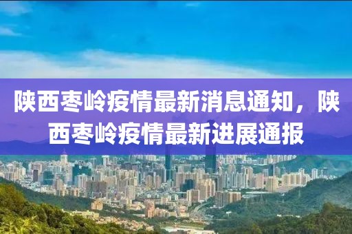 陜西棗嶺疫情最新消息通知，陜西棗嶺疫情最新進展通報