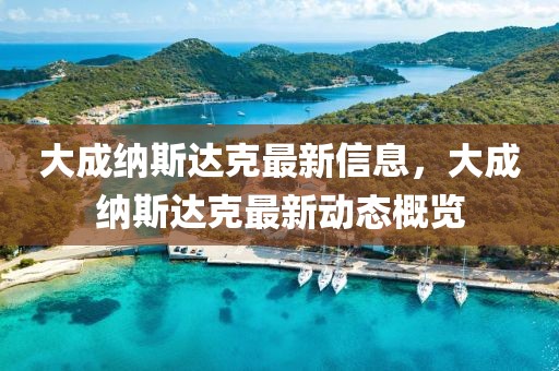 大成納斯達(dá)克最新信息，大成納斯達(dá)克最新動(dòng)態(tài)概覽