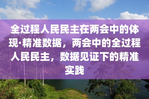 全過(guò)程人民民主在兩會(huì)中的體現(xiàn)·精準(zhǔn)數(shù)據(jù)，兩會(huì)中的全過(guò)程人民民主，數(shù)據(jù)見證下的精準(zhǔn)實(shí)踐