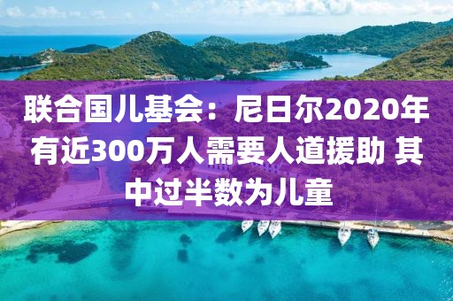 聯(lián)合國兒基會(huì)：尼日爾2020年有近300萬人需要人道援助 其中過半數(shù)為兒童