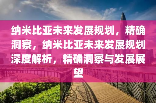 納米比亞未來發(fā)展規(guī)劃，精確洞察，納米比亞未來發(fā)展規(guī)劃深度解析，精確洞察與發(fā)展展望