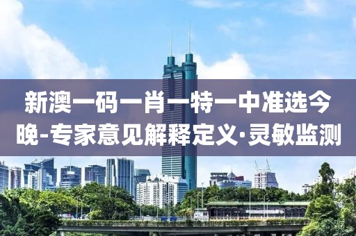 新澳一碼一肖一特一中準(zhǔn)選今晚-專家意見解釋定義·靈敏監(jiān)測