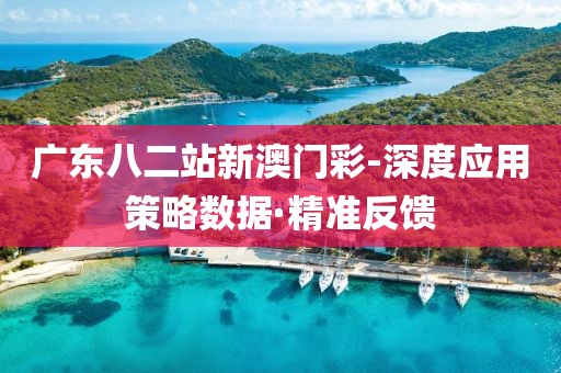 廣東八二站新澳門彩-深度應(yīng)用策略數(shù)據(jù)·精準反饋