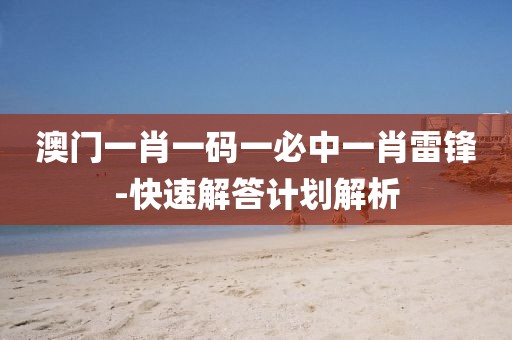 澳門一肖一碼一必中一肖雷鋒-快速解答計(jì)劃解析