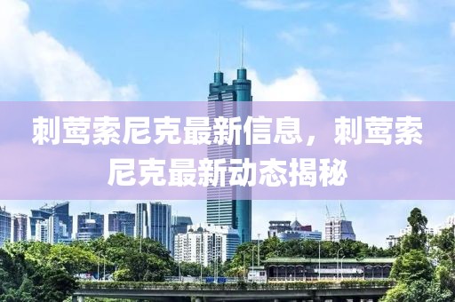 刺鶯索尼克最新信息，刺鶯索尼克最新動(dòng)態(tài)揭秘