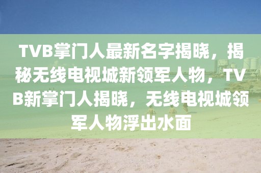 TVB掌門人最新名字揭曉，揭秘?zé)o線電視城新領(lǐng)軍人物，TVB新掌門人揭曉，無線電視城領(lǐng)軍人物浮出水面