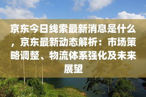 京東今日線索最新消息是什么，京東最新動態(tài)解析：市場策略調(diào)整、物流體系強(qiáng)化及未來展望