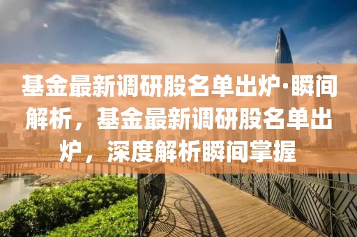 基金最新調(diào)研股名單出爐·瞬間解析，基金最新調(diào)研股名單出爐，深度解析瞬間掌握