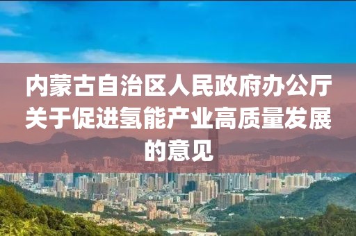 內(nèi)蒙古自治區(qū)人民政府辦公廳關(guān)于促進(jìn)氫能產(chǎn)業(yè)高質(zhì)量發(fā)展的意見(jiàn)