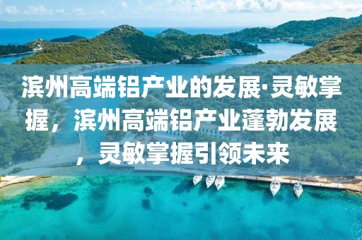 濱州高端鋁產(chǎn)業(yè)的發(fā)展·靈敏掌握，濱州高端鋁產(chǎn)業(yè)蓬勃發(fā)展，靈敏掌握引領(lǐng)未來