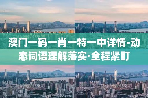 澳門一碼一肖一特一中詳情-動態(tài)詞語理解落實·全程緊盯
