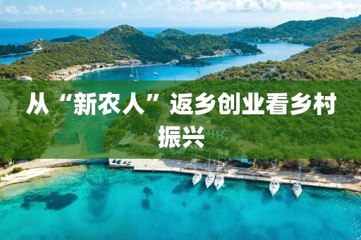從“新農(nóng)人”返鄉(xiāng)創(chuàng)業(yè)看鄉(xiāng)村振興