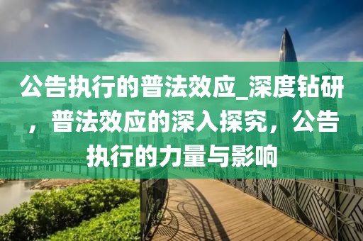 公告執(zhí)行的普法效應(yīng)_深度鉆研，普法效應(yīng)的深入探究，公告執(zhí)行的力量與影響