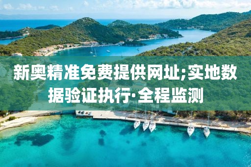 新奧精準(zhǔn)免費(fèi)提供網(wǎng)址;實(shí)地?cái)?shù)據(jù)驗(yàn)證執(zhí)行·全程監(jiān)測(cè)