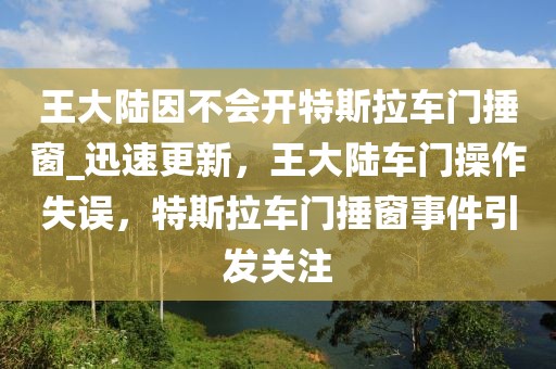 王大陸因不會開特斯拉車門捶窗_迅速更新，王大陸車門操作失誤，特斯拉車門捶窗事件引發(fā)關注