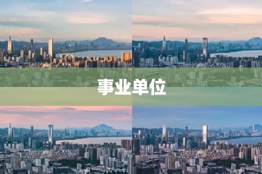 事業(yè)單位