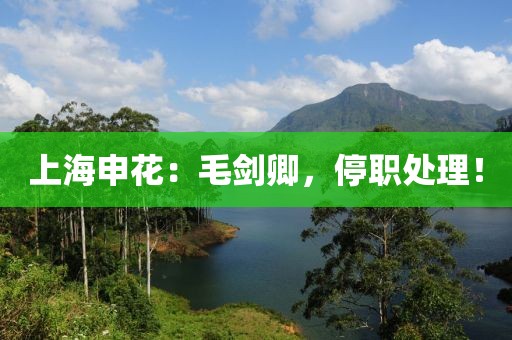 上海申花：毛劍卿，停職處理！