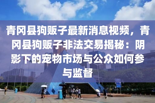 青岡縣狗販子最新消息視頻，青岡縣狗販子非法交易揭秘：陰影下的寵物市場與公眾如何參與監(jiān)督