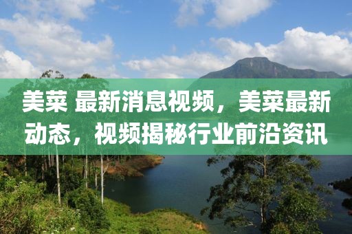 美菜 最新消息視頻，美菜最新動態(tài)，視頻揭秘行業(yè)前沿資訊