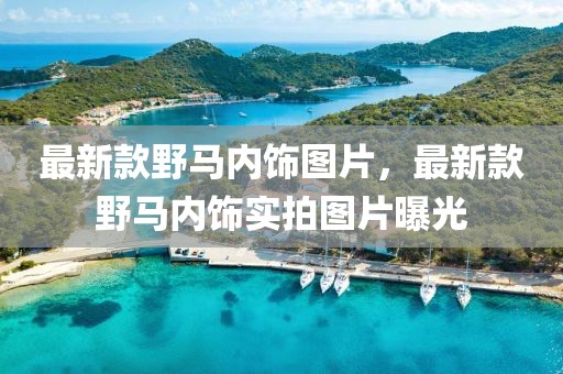最新款野馬內飾圖片，最新款野馬內飾實拍圖片曝光