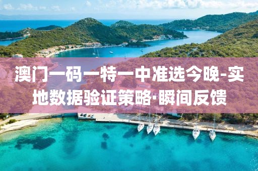 澳門一碼一特一中準(zhǔn)選今晚-實(shí)地數(shù)據(jù)驗(yàn)證策略·瞬間反饋