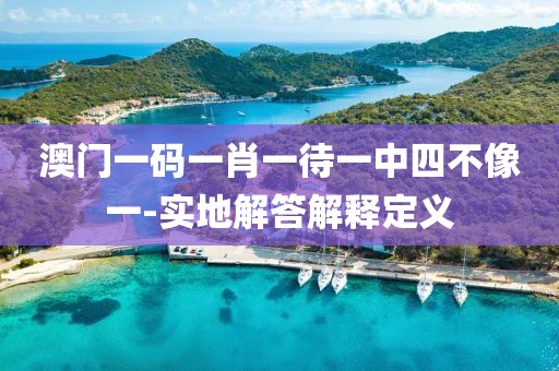 澳門(mén)一碼一肖一待一中四不像一-實(shí)地解答解釋定義
