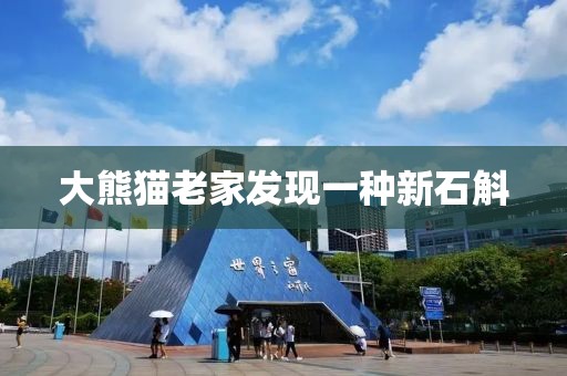 大熊貓老家發(fā)現(xiàn)一種新石斛