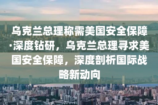 烏克蘭總理稱需美國(guó)安全保障·深度鉆研，烏克蘭總理尋求美國(guó)安全保障，深度剖析國(guó)際戰(zhàn)略新動(dòng)向