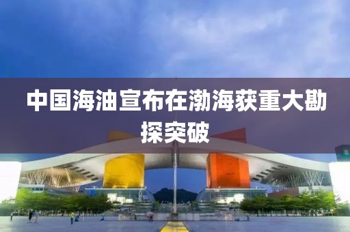 中國海油宣布在渤海獲重大勘探突破