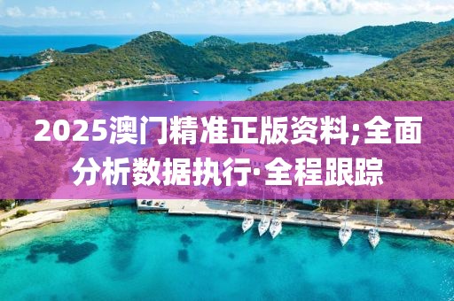 2025澳門(mén)精準(zhǔn)正版資料;全面分析數(shù)據(jù)執(zhí)行·全程跟蹤