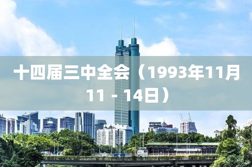 十四屆三中全會（1993年11月11－14日）