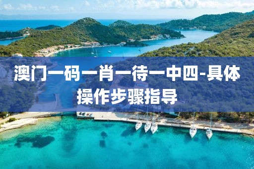 澳門一碼一肖一待一中四-具體操作步驟指導(dǎo)