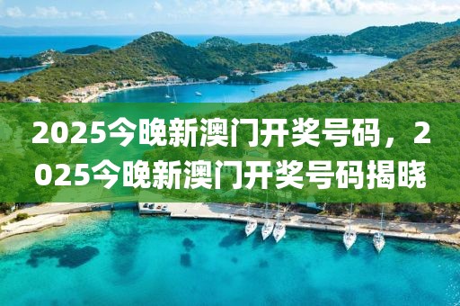 2025今晚新澳門開獎號碼，2025今晚新澳門開獎號碼揭曉