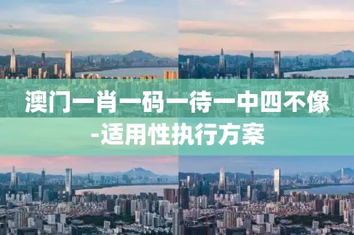 澳門一肖一碼一待一中四不像-適用性執(zhí)行方案