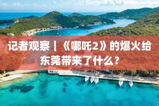 記者觀察｜《哪吒2》的爆火給東莞帶來了什么？
