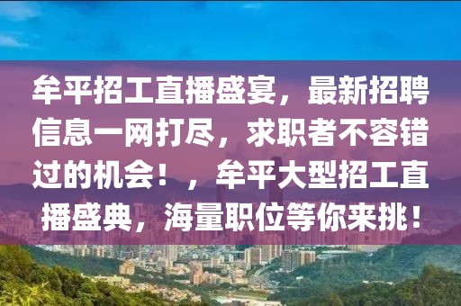 牟平招工直播盛宴，最新招聘信息一網(wǎng)打盡，求職者不容錯過的機會！，牟平大型招工直播盛典，海量職位等你來挑！