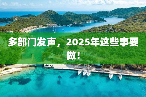 多部門發(fā)聲，2025年這些事要做！