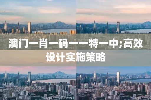 澳門一肖一碼一一特一中;高效設(shè)計(jì)實(shí)施策略