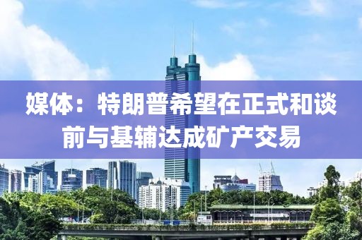 媒體：特朗普希望在正式和談前與基輔達(dá)成礦產(chǎn)交易