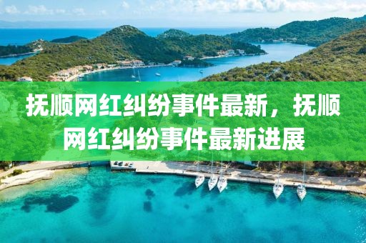 撫順網(wǎng)紅糾紛事件最新，撫順網(wǎng)紅糾紛事件最新進(jìn)展