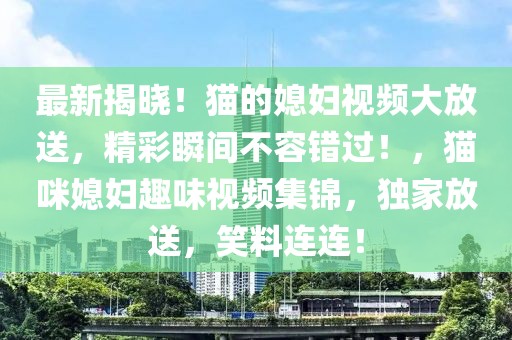 最新揭曉！貓的媳婦視頻大放送，精彩瞬間不容錯過！，貓咪媳婦趣味視頻集錦，獨家放送，笑料連連！