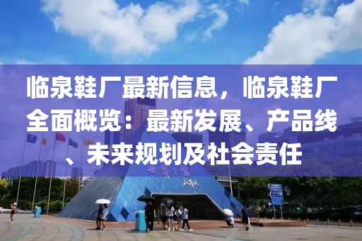 臨泉鞋廠最新信息，臨泉鞋廠全面概覽：最新發(fā)展、產(chǎn)品線、未來規(guī)劃及社會責(zé)任