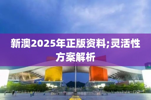 新澳2025年正版資料;靈活性方案解析
