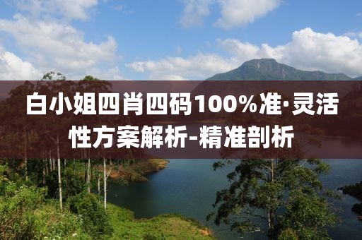 白小姐四肖四碼100%準(zhǔn)·靈活性方案解析-精準(zhǔn)剖析