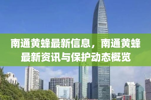 南通黃蜂最新信息，南通黃蜂最新資訊與保護動態(tài)概覽