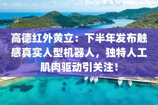 高德紅外黃立：下半年發(fā)布觸感真實(shí)人型機(jī)器人，獨(dú)特人工肌肉驅(qū)動(dòng)引關(guān)注！